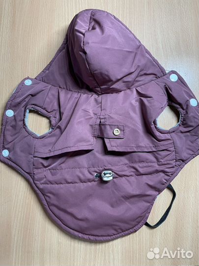 Одежда для собак мелких пород