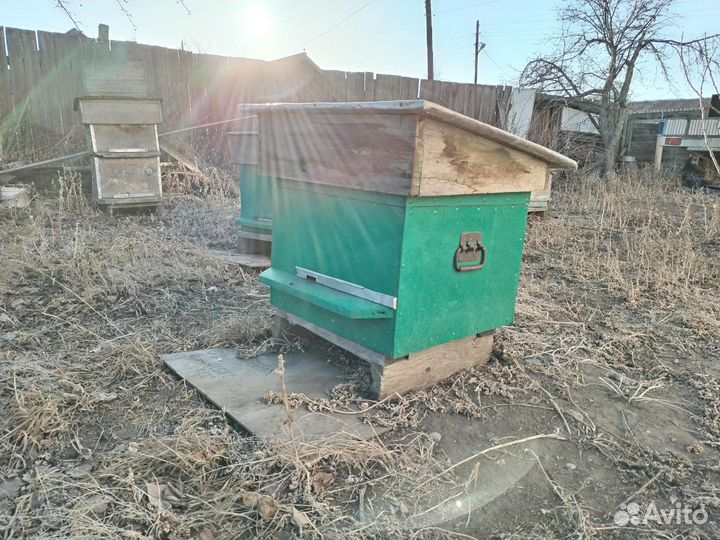 Улей для пчел