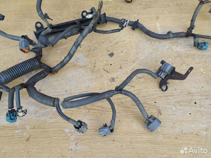 Subaru outback 2.5 проводка двигателя