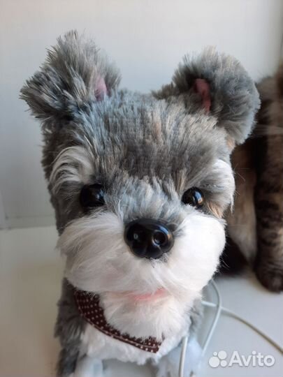 Интерактивная собака на поводке