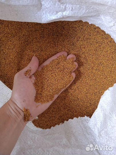 Семена белый клевер Белогорский