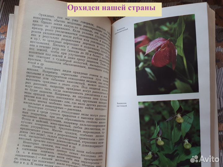 Книги о растениях и животных