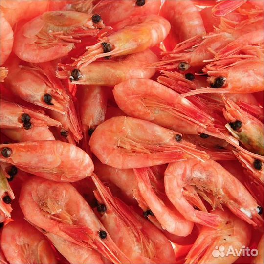 Северная креветка 250+ Свежак