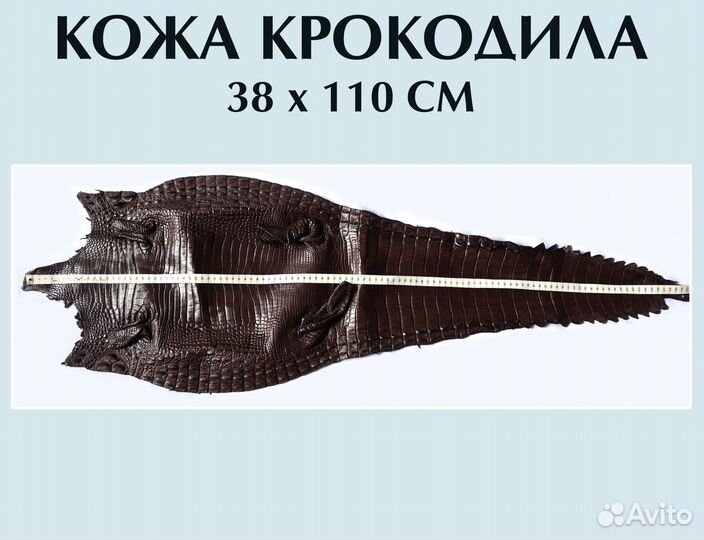 Кожа крокодила коричневая 38*110см(в наличии)