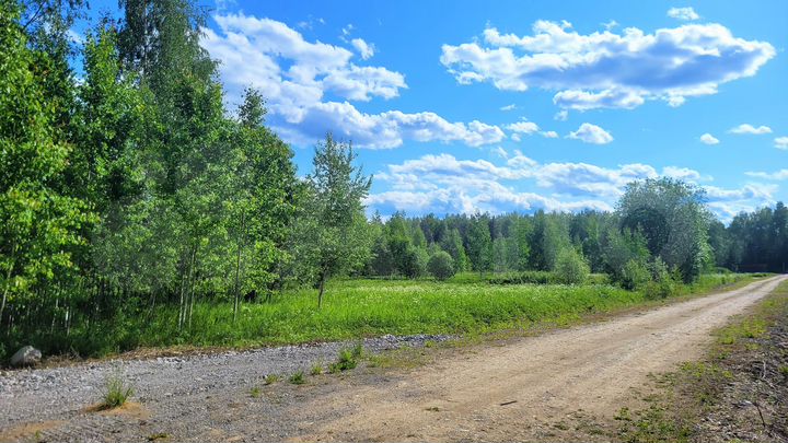 Участок 12,5 сот. (СНТ, ДНП)