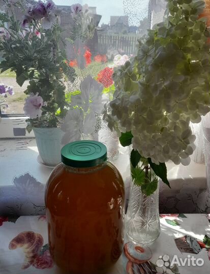 Продам мёд со своей пасеки