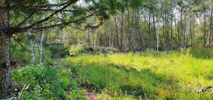 Участок 10 сот. (СНТ, ДНП)