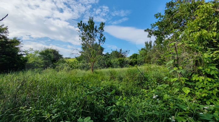 Участок 6,5 сот. (ИЖС)