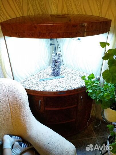 Аквариум угловой jebo R470, 186 литров