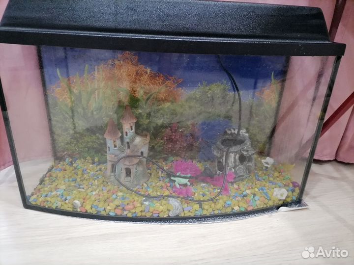 Аквариум