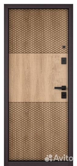 Дверь входная железная в квартиру