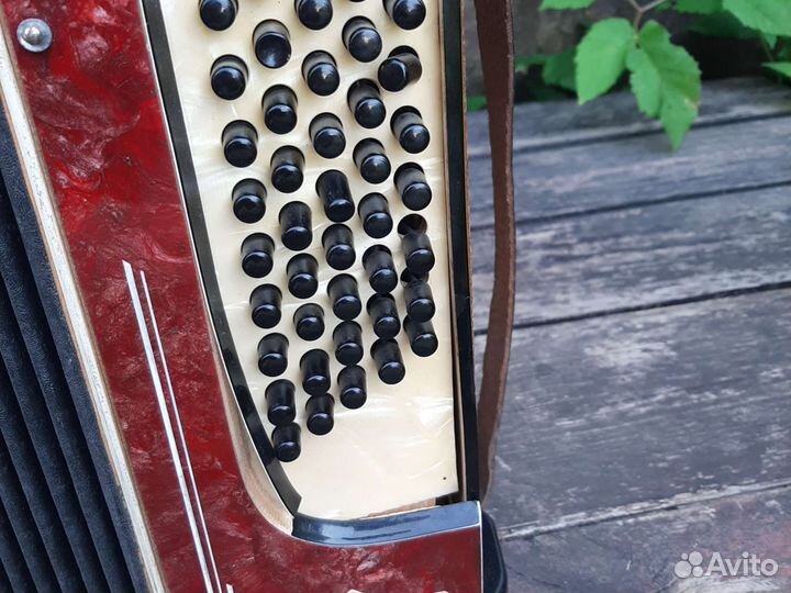 Аккордеон Tenora