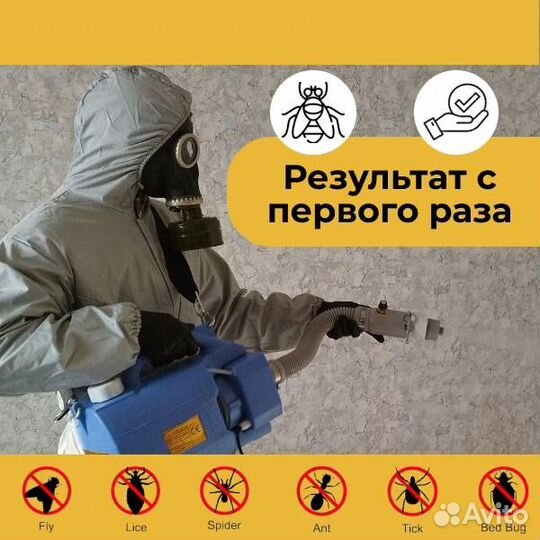 Уничтожение клопов, тараканов, кротов. Дезинфекция