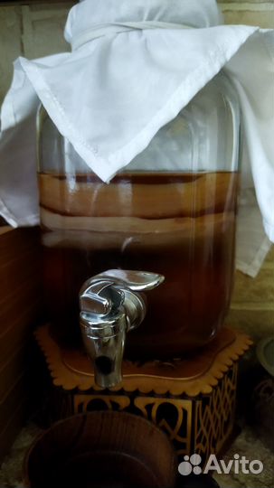 Чайный гриб