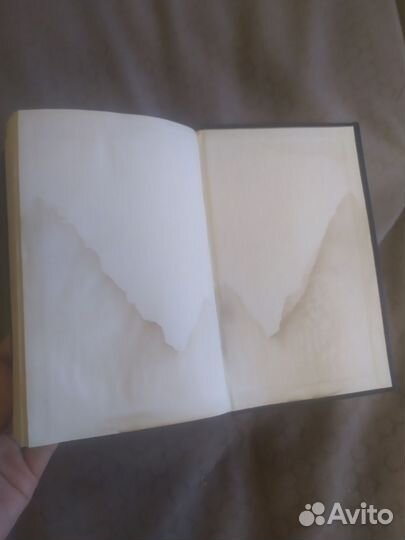 Бонни и Клайд роман