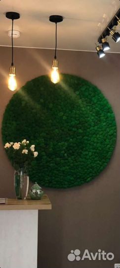 Стабилизированный мох панно