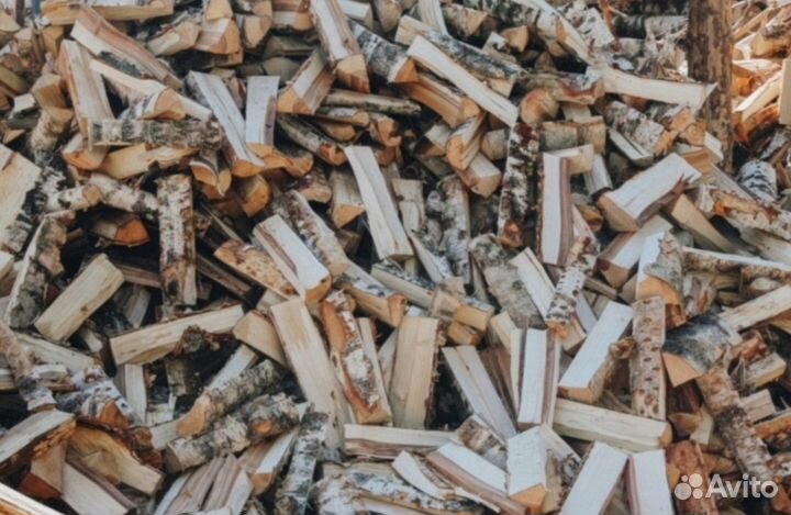 Дрова береза