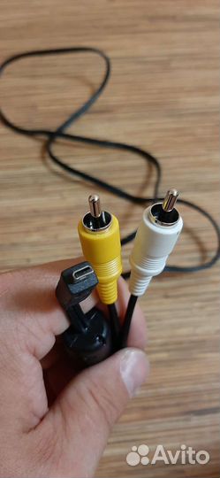 Тюльпаны провода, кабели