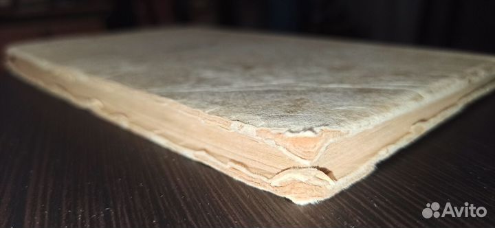 Потомству в пример Стволинский