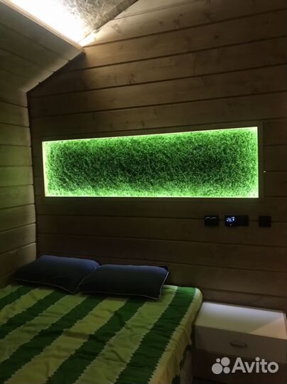 Помощник и товарищ