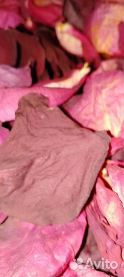 Сухие лепестки роз