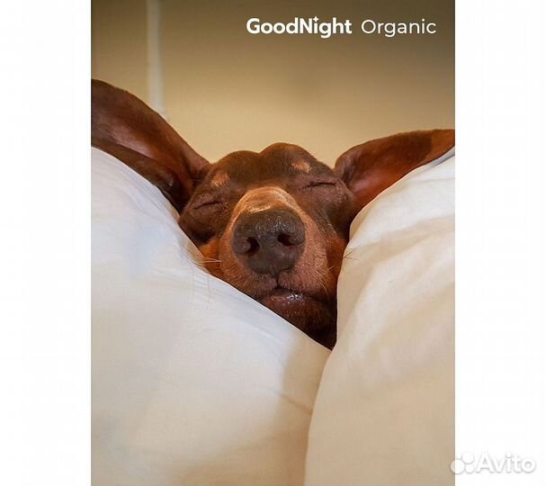 Постельное белье GoodNight Сатин Делюкс дуэт (с на