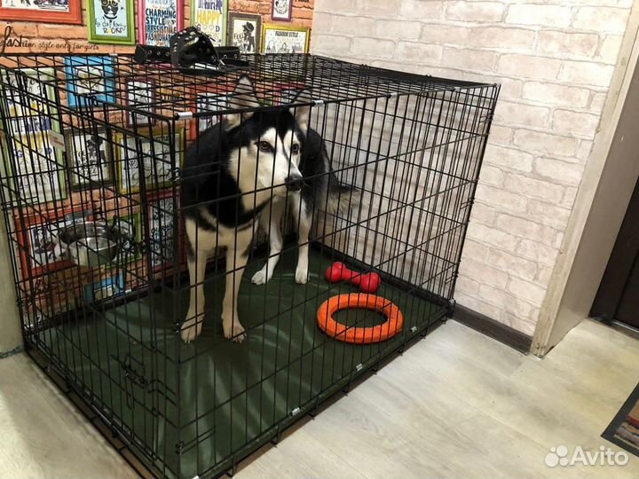 Клетка бесплатная доставка