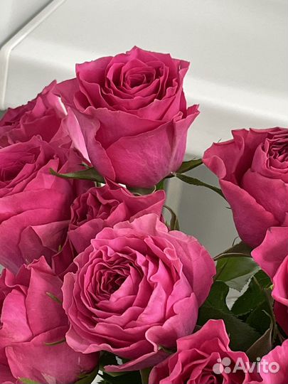 Букеты из 101 розы