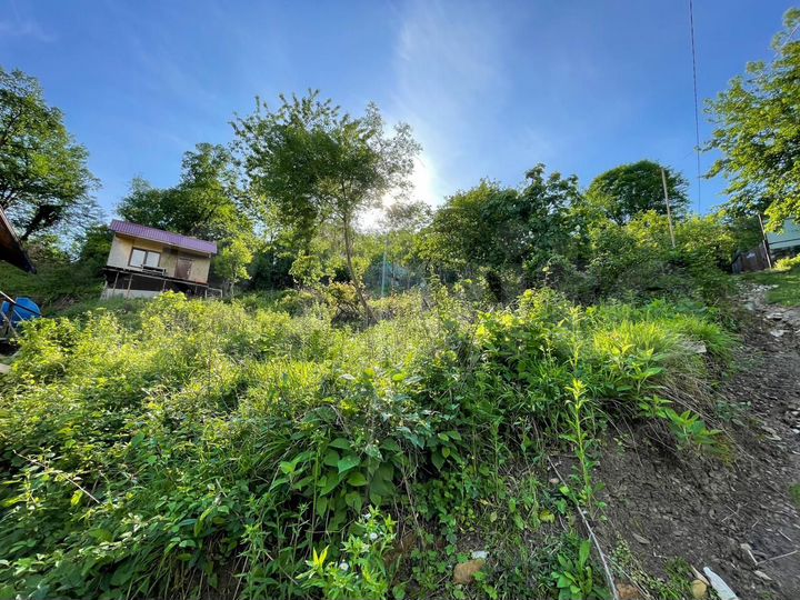 Участок 5,5 сот. (СНТ, ДНП)