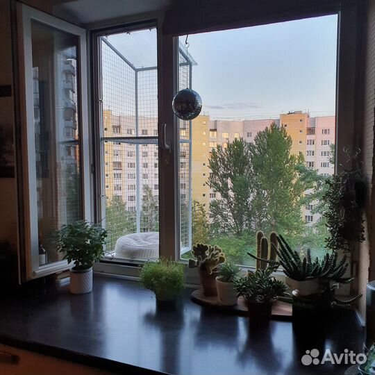 Балкон для кошки, вольер