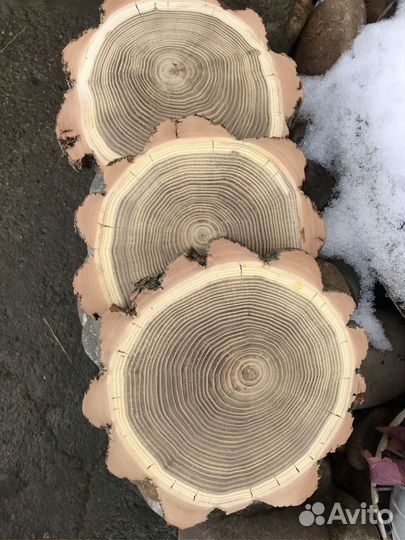 Спилы акации