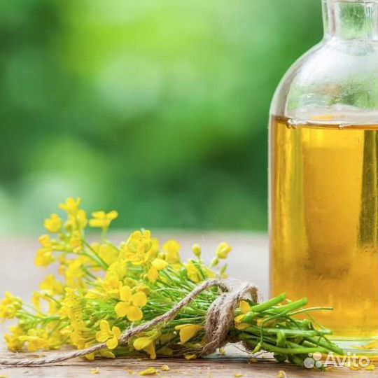 Рыжиковое масло