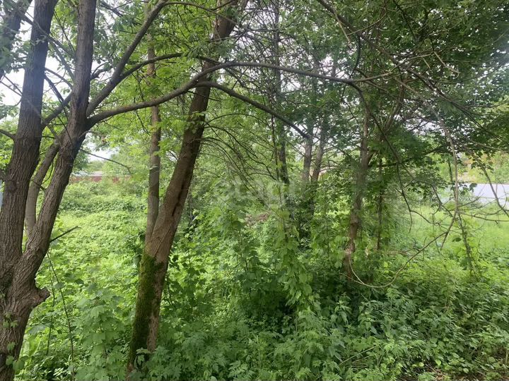 Участок 5,7 сот. (ИЖС)