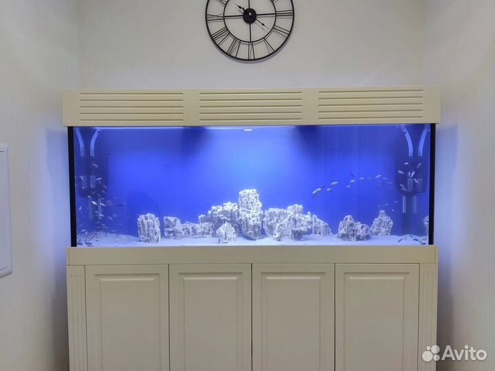Аквариум под ключ