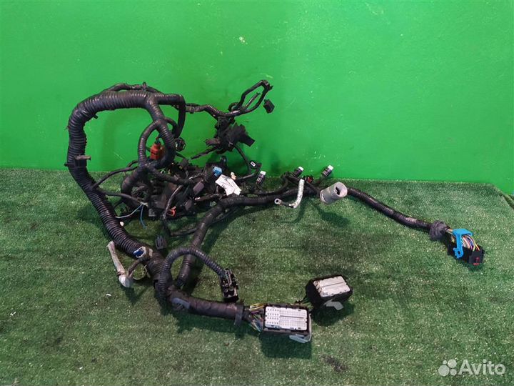 Жгут проводки двигателя Ford Focus 3 (CB8) 2015