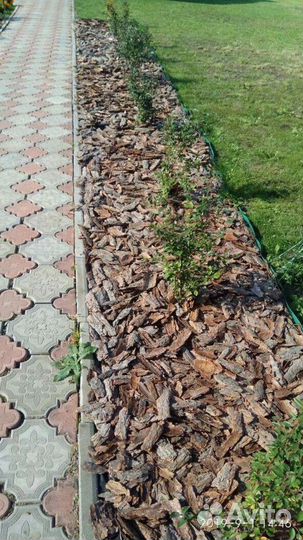 Кора сосновая/мульча с доставкой