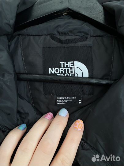 The north face