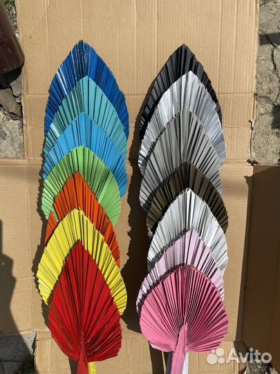 Сухоцветы / Пампасная трава