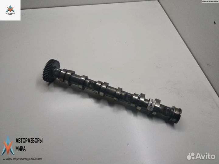 Распредвал Audi Q7 4L 2007 059102CB