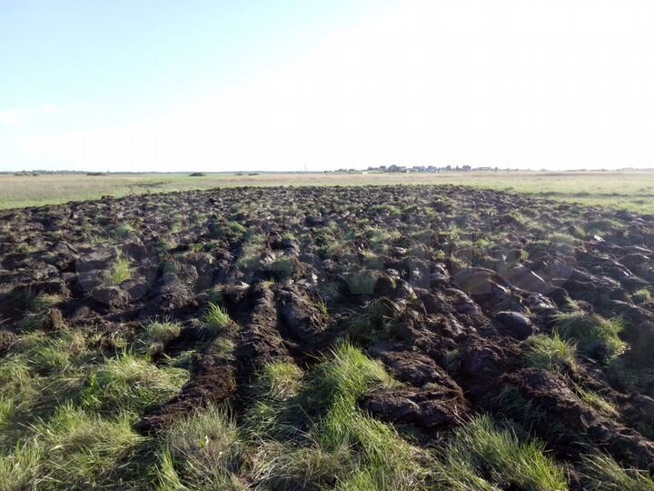 Участок 11 сот. (ИЖС)