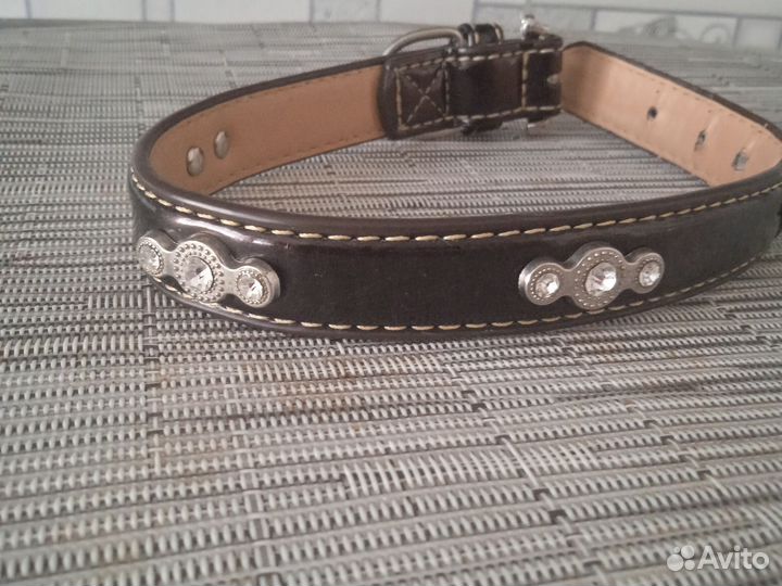 Ошейник для собак