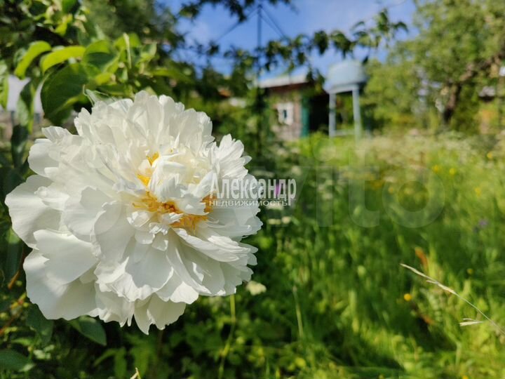 Дача 55 м² на участке 7 сот.