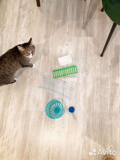 Клетка для грызунов бу