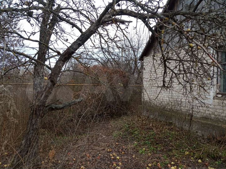 Участок 50 сот. (ИЖС)