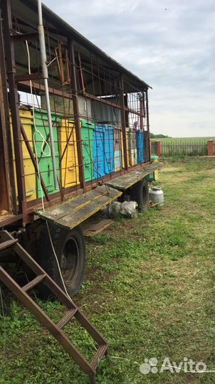 Ульи для пчел