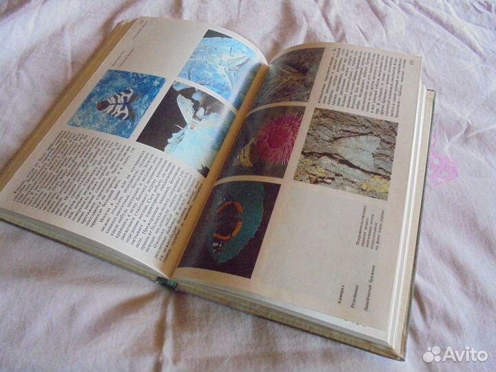 Дельта. Фотоальбом дельта Волги Нижневолж изд1990