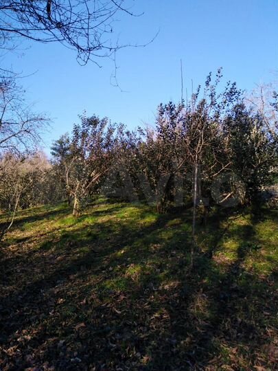 Участок 8 сот. (ИЖС)