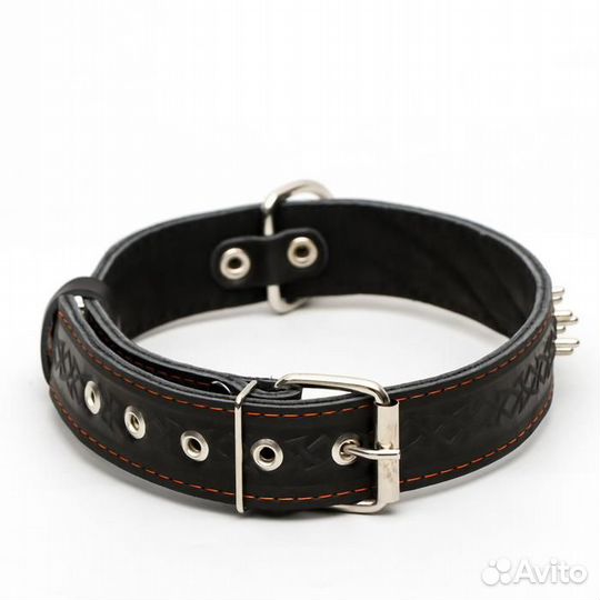 Ошейник кожаный двухслойный клёпаный 'Ёж', 65 х 3