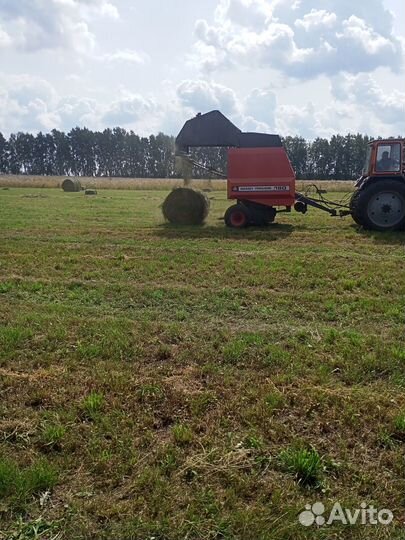 Сено клевер, люцерна,луговое в тюках 2024г