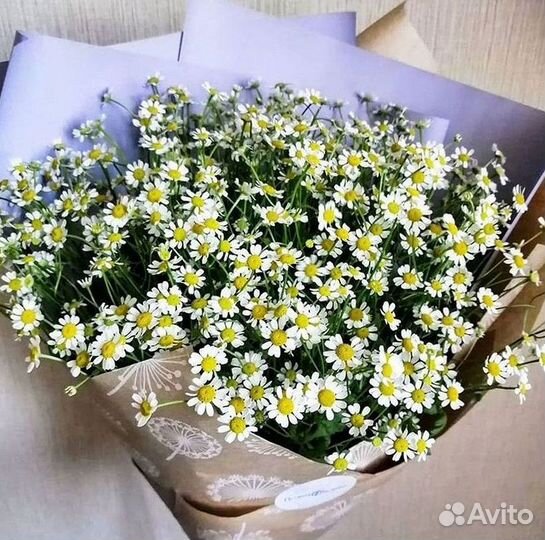 Букеты. Доставка ромашек